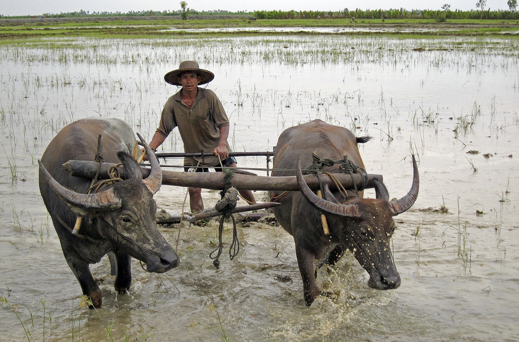 8879421315_e63977ca81_o